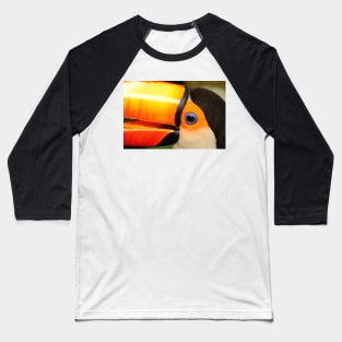 Quaint Bird: Portrait of a Toco Toucan at Iguassu, Brazil. Baseball T-Shirt